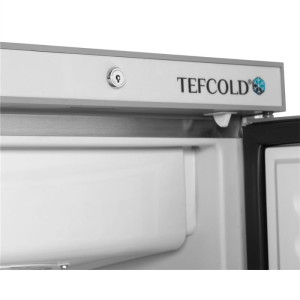 Negative Stainless Steel Refrigerated Cabinet 340 L TEFCOLD - Performance and Capacity