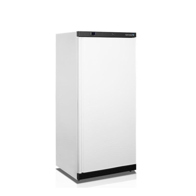 Armoire Réfrigérée Négative TEFCOLD - Biela, 420L | Fourniresto