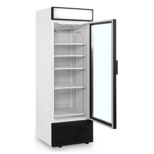 Glass door freezer display with canopy - 440L TEFCOLD: optimal presentation of your frozen products