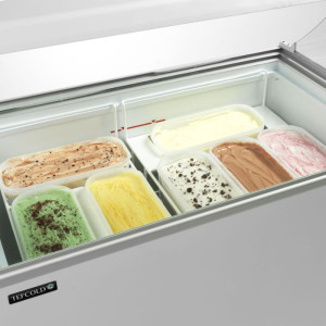 Chest Freezer with Curved Glass - 255 L TEFCOLD: quality and functionality