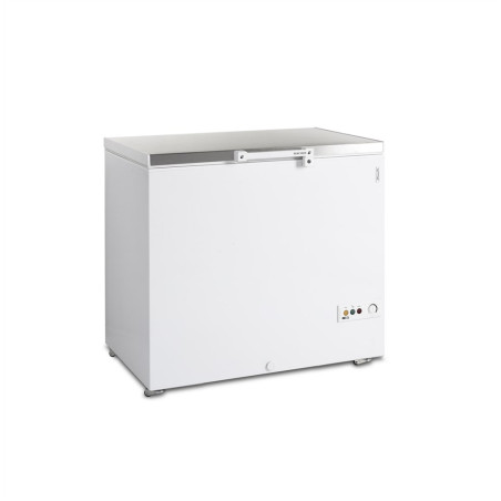 Congélateur Coffre à Glace Inox - 273 L TEFCOLD: stockage sûr et durable pour professionnels de la cuisine