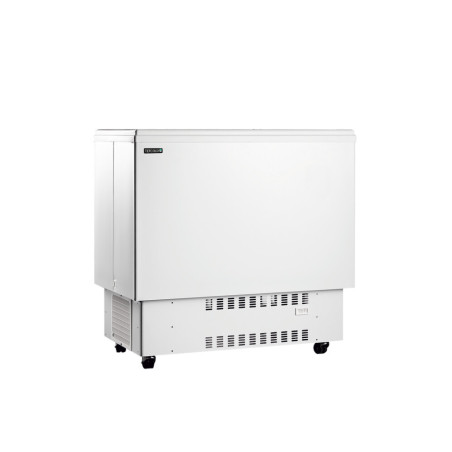 Refrigerator Chest for Drinks White 226 L TEFCOLD - Cooling & Storage