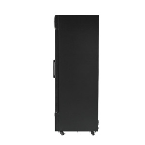Vitrine na nápoje 736 L 2 presklené dvere 2-8 °C R290