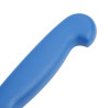 Couteau À Filet Bleu Lame 15 Cm - Hygiplas - Fourniresto