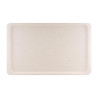 Plateau de Service en Polyester GN1/1 530x325mm Gris  - Roltex - Fourniresto