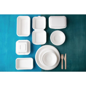 Hinged Bagasse Compostable Trays - 500 ml - Pack of 250 - Fiesta Green