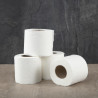 Papier Toilette Standard 2 Plis - Lot de 40 - Jantex