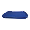 Blue Self-Service Tray 450 X 350mm - Olympia KRISTALLON - Fourniresto