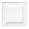 Compostable square plates made of bagasse 204mm - Pack of 50, eco-friendly and recyclable.