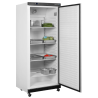 Armoire Réfrigérée Positive Blanche GN 2/1 - 1 Porte - 620 L - TEFCOLD