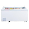 Vitrine Réfrigérée Négative Série G 500L - Polar