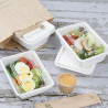 Couvercles en Bagasse Compostable pour Barquettes - Lot de 100 - Fiesta Green