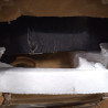 Armoire Réfrigérée 200 Litres - Positive Noire - Dynasteel