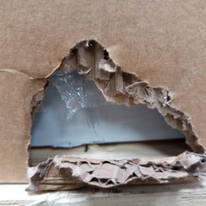 Chladiaca šalátová vitrína Star - 2 dvere s otváracou strechou