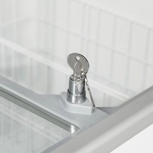 Ice Cream Freezer - 296 L - TEFCOLD