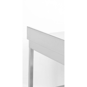 Stainless Steel Table 1600x600 mm with Backsplash and Lower Shelf