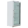 Armoire 600 Litres - Positive - Réf NMA601TNV