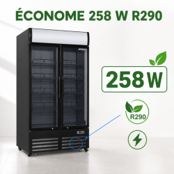 Vitrine na nápoje 736 L 2 presklené dvere 2-8 °C R290