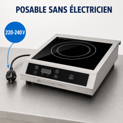 Plaque Induction Pro 3500 W 8 Niveaux Minuteur | Dynasteel