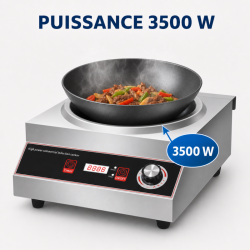 Wok na indukciu Pro 3500 W Inox — Konkávna zóna Ø227