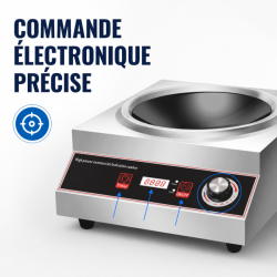 Wok na indukciu Pro 3500 W Inox — Konkávna zóna Ø227