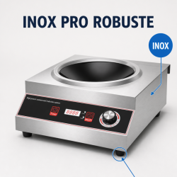 Wok na indukciu Pro 3500 W Inox — Konkávna zóna Ø227