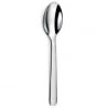 Table Spoon Alkaline Range - Set of 12 - COUZON