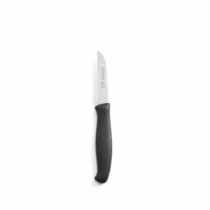 Pointed Peeler Knife