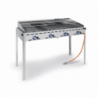 Professional Gas BBQ on Wheels - Brand HENDI