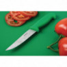 Vegetable Knife Green Blade 10 cm - Hygiplas - Fourniresto