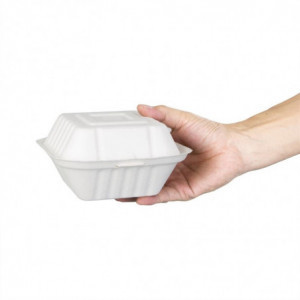 Boîtes À Hamburger Compostables - L 149 mm - Lot de 500 - Fiesta Green