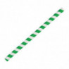 Pailles À Smoothie en Papier - Vertes - L 210mm - Lot de 250 - Fiesta Green