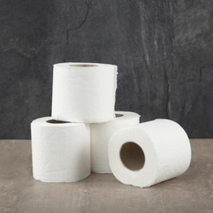Papier Toilette Standard 2 Plis - Lot de 40 - Jantex