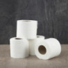 Papier Toilette Standard 2 Plis - Lot de 40 - Jantex