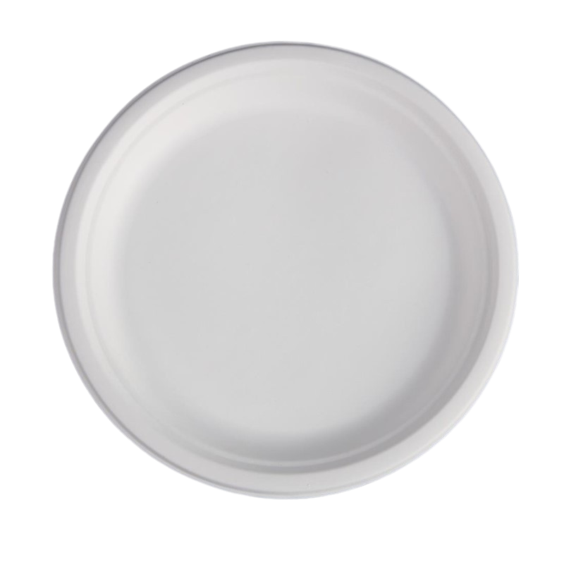 Okrúhle taniere z bagasy - 26,1 cm - Sada 50 - FourniResto