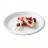 Round Plates in Bagasse - 26.1 cm - Pack of 50 - FourniResto