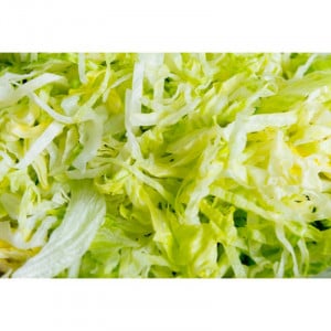 3 mm Grating Disc for Electric Vegetable Cutter - Dynamic