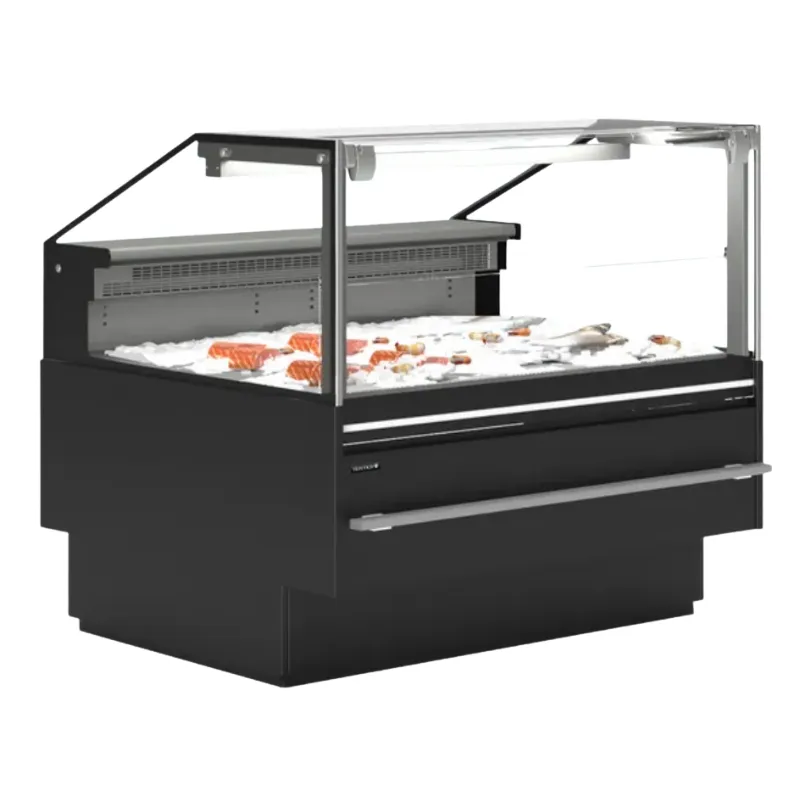 Servírovacia Vitrína Premium na Čerstvé Ryby - 320 W