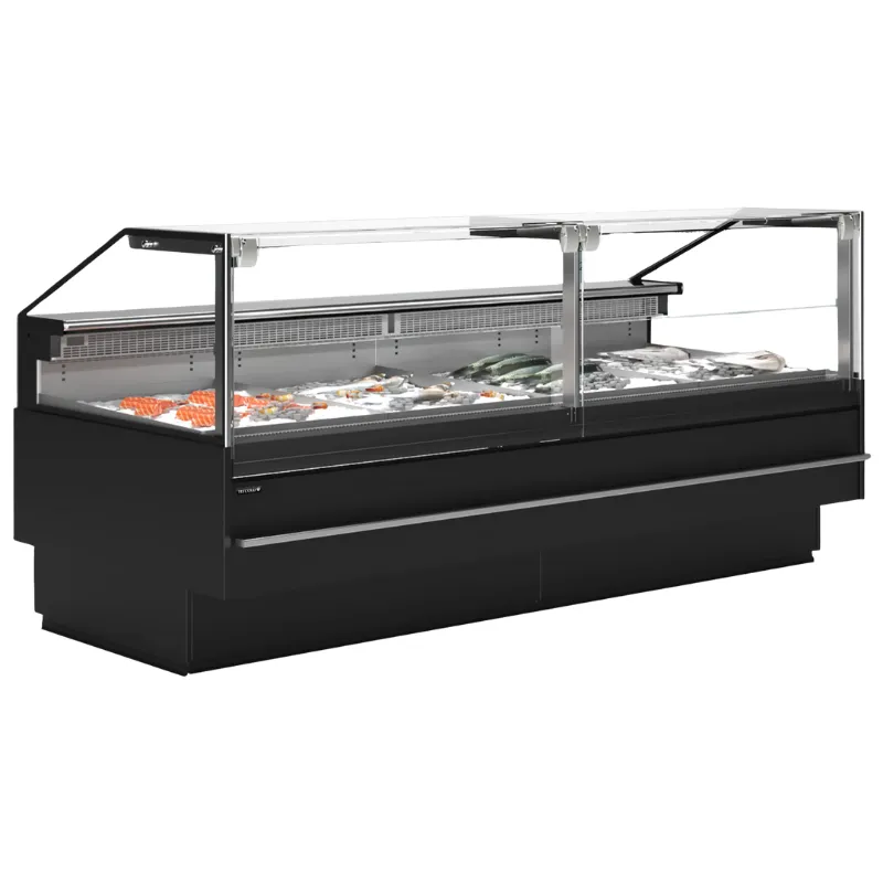Servírovacia Vitrína Premium na Čerstvé Ryby - 690 W