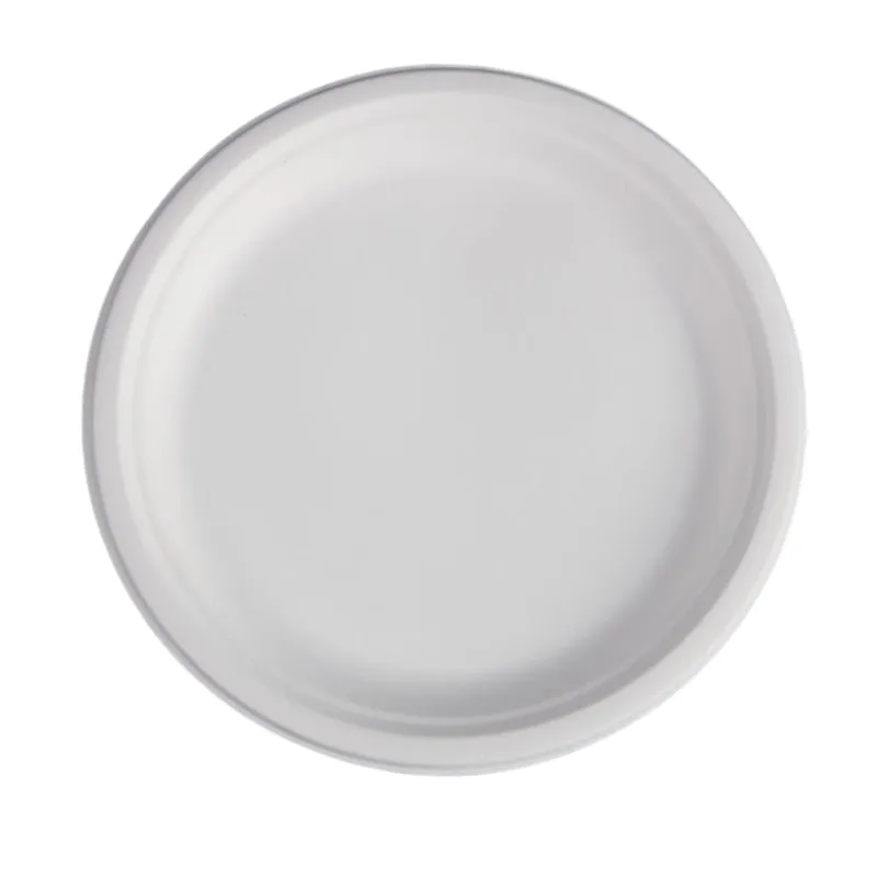 Okrúhle taniere z bagasy - 26,1 cm - Sada 50